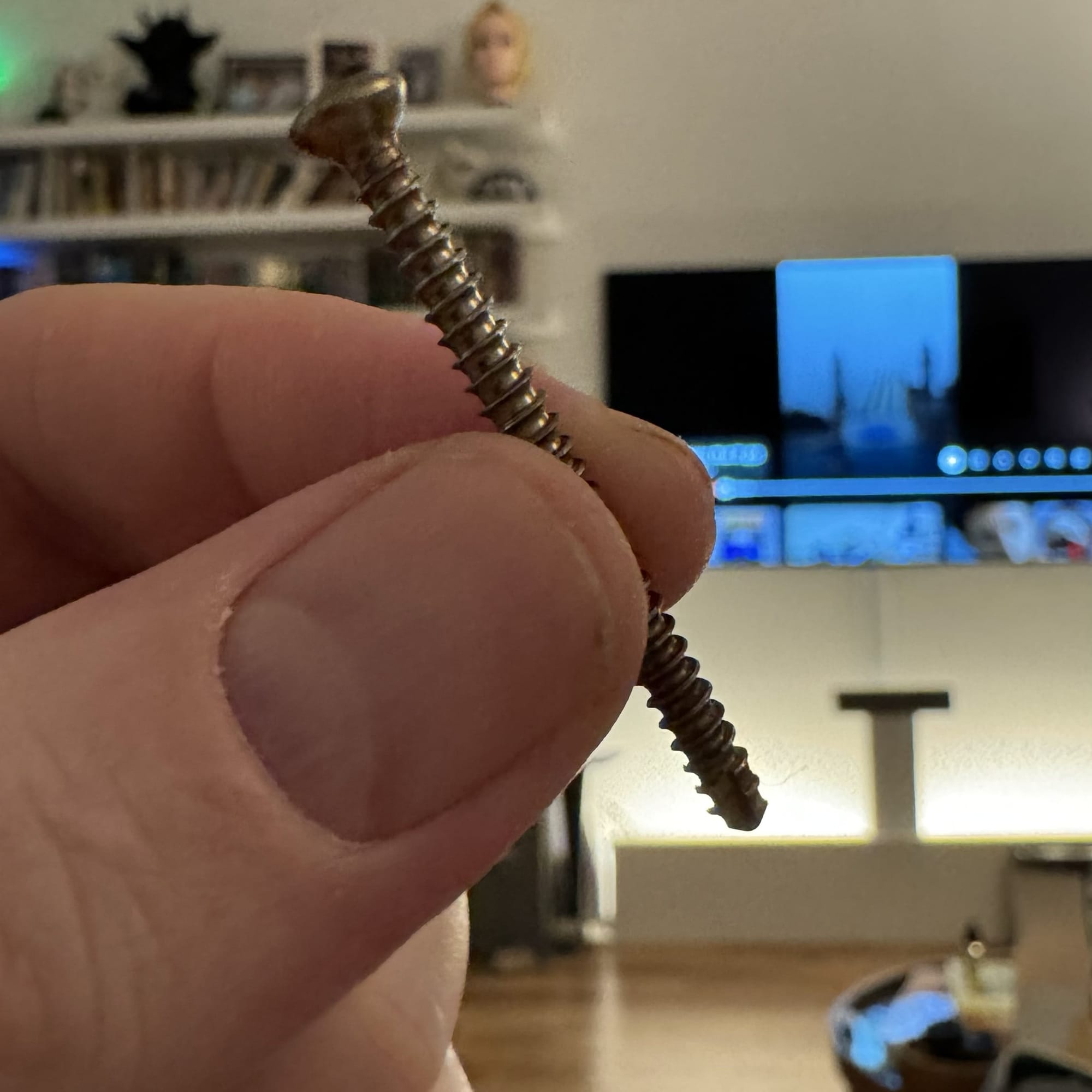 Image of the screw that was removed from my leg